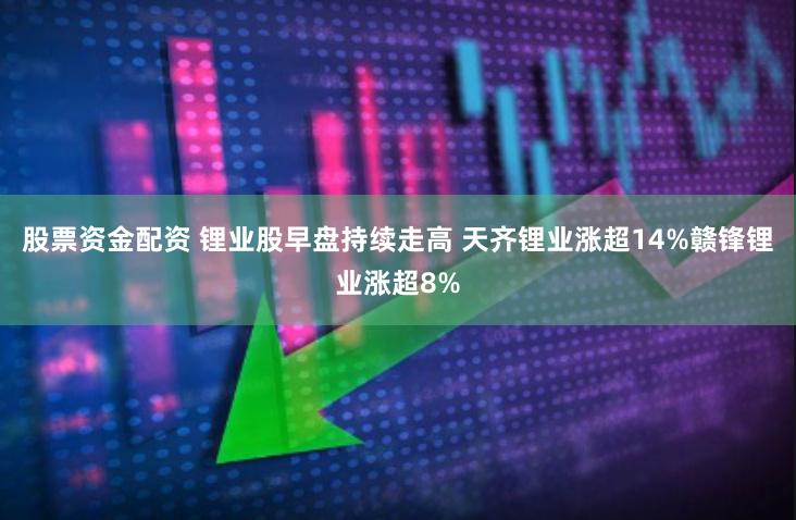 股票资金配资 锂业股早盘持续走高 天齐锂业涨超14%赣锋锂业涨超8%